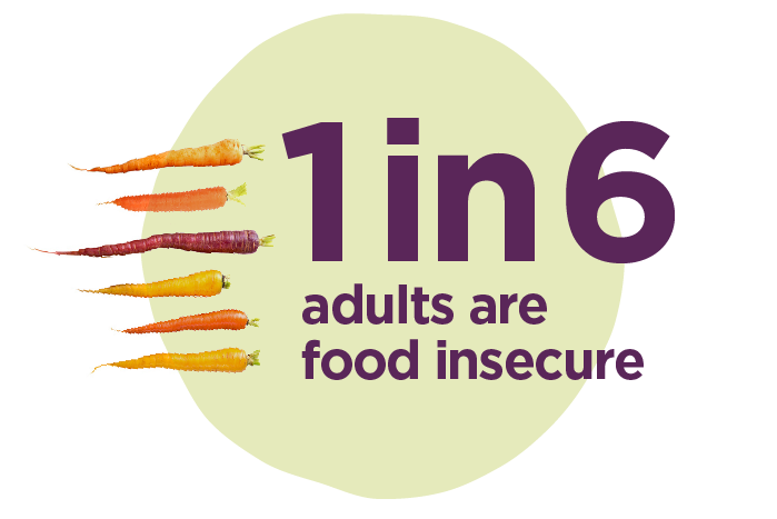 Graphic stating 1 in 6 adults are food insecure