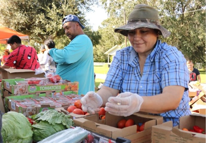 A volunteer sorting berries