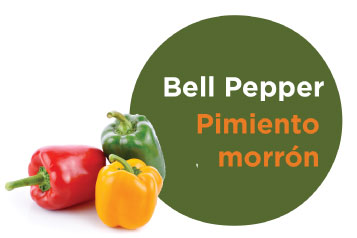 Bell Pepper graphic