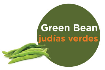 Green bean graphic