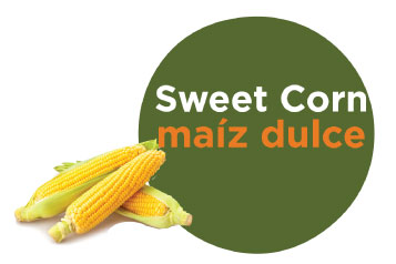 Sweet corn graphic