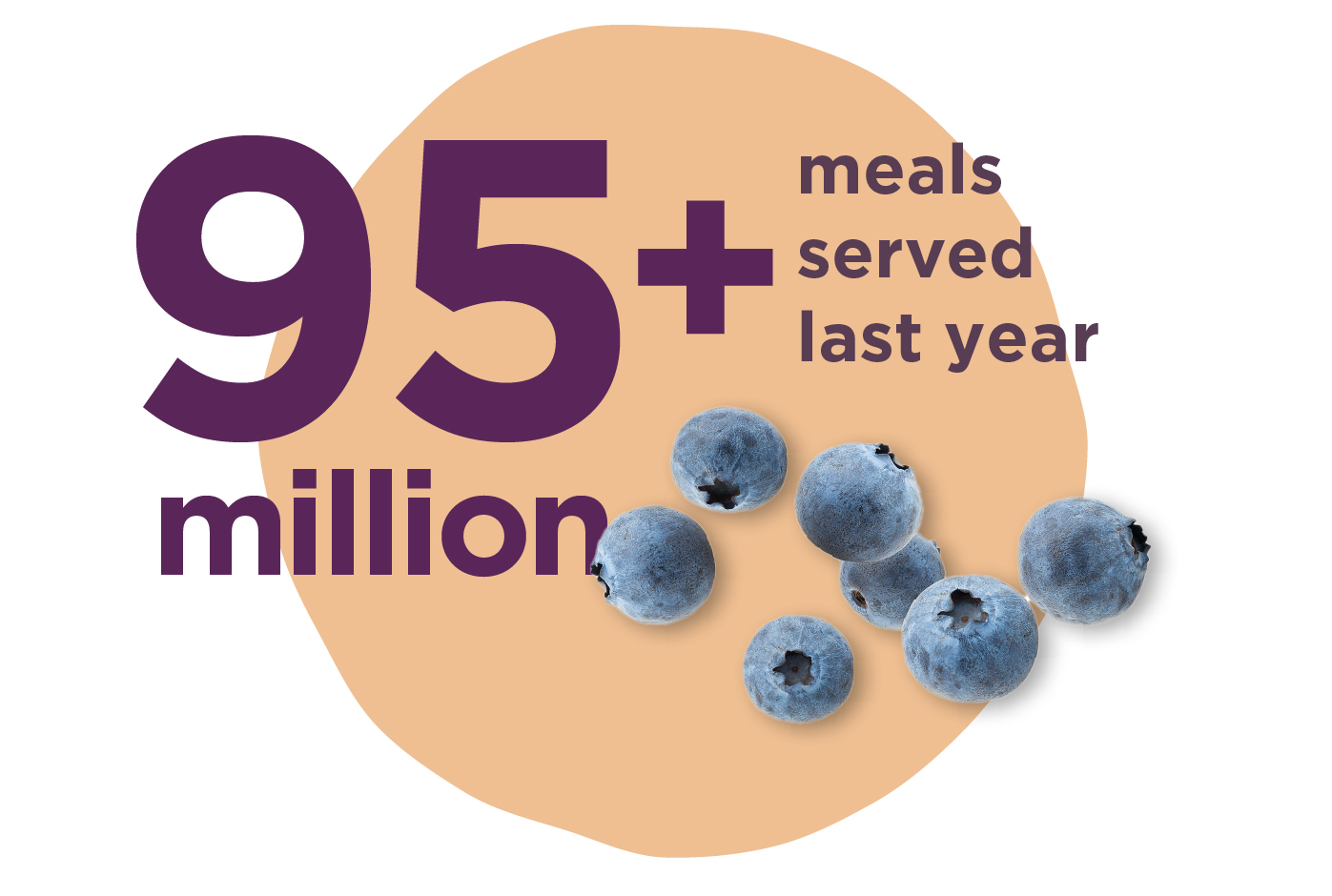 Graphic stating 95M+ meals served last year