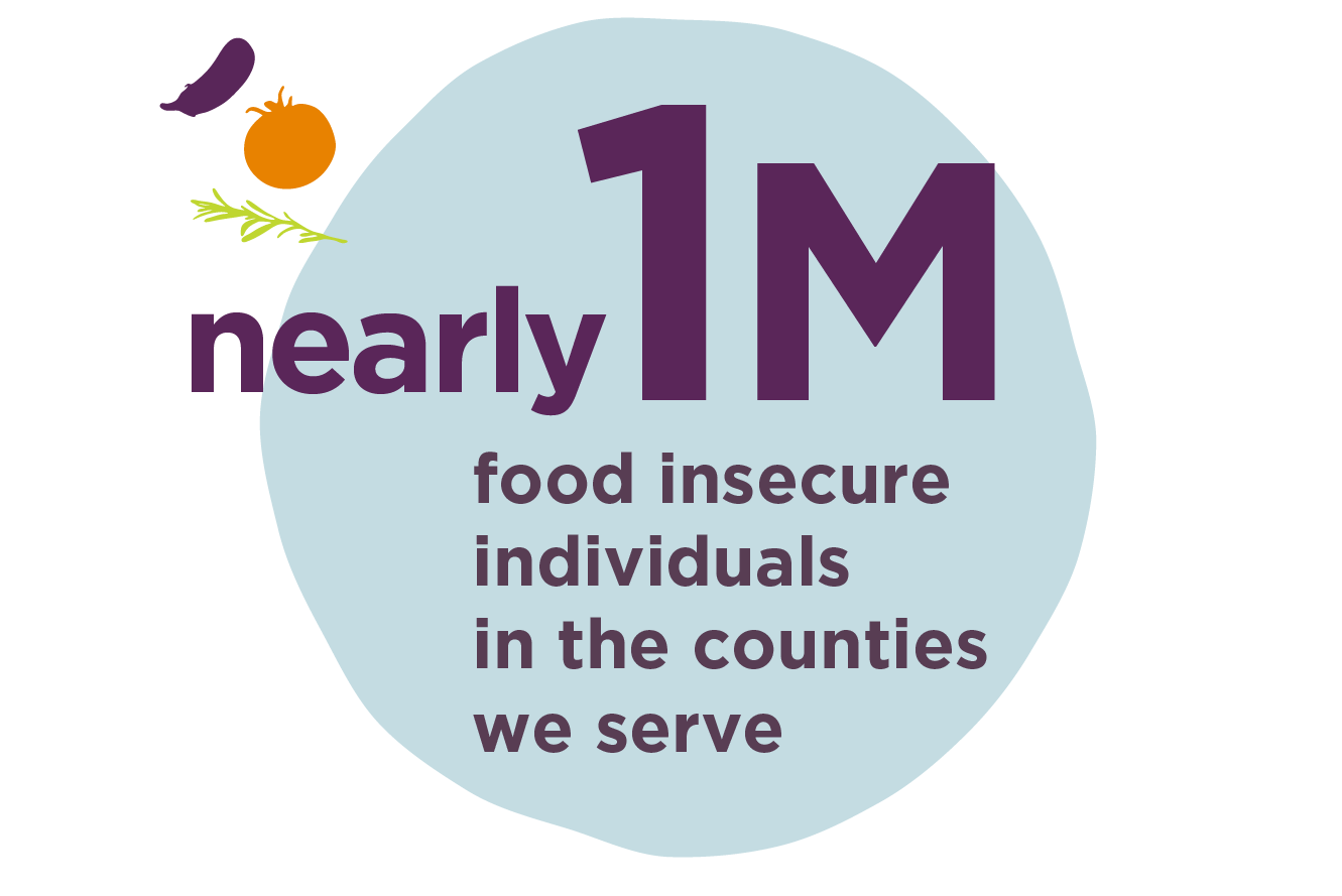 Graphic stating nearly 1M food insecure individuals in the county we serve