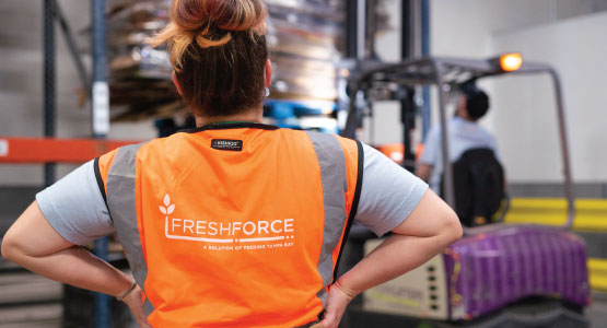 FRESHforce warehouse trainees