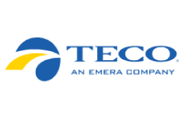 TECO logo